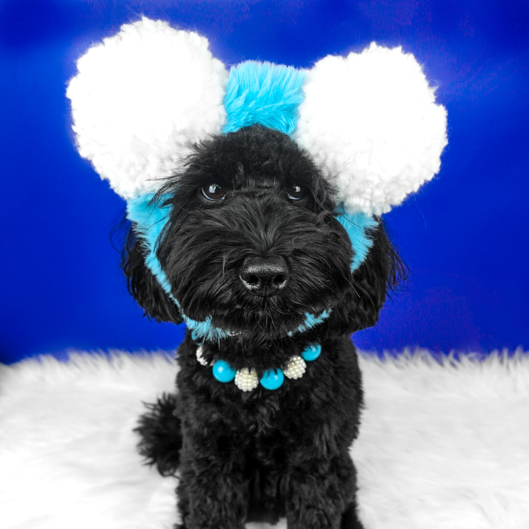 Dog with teddy bear hot sale ears